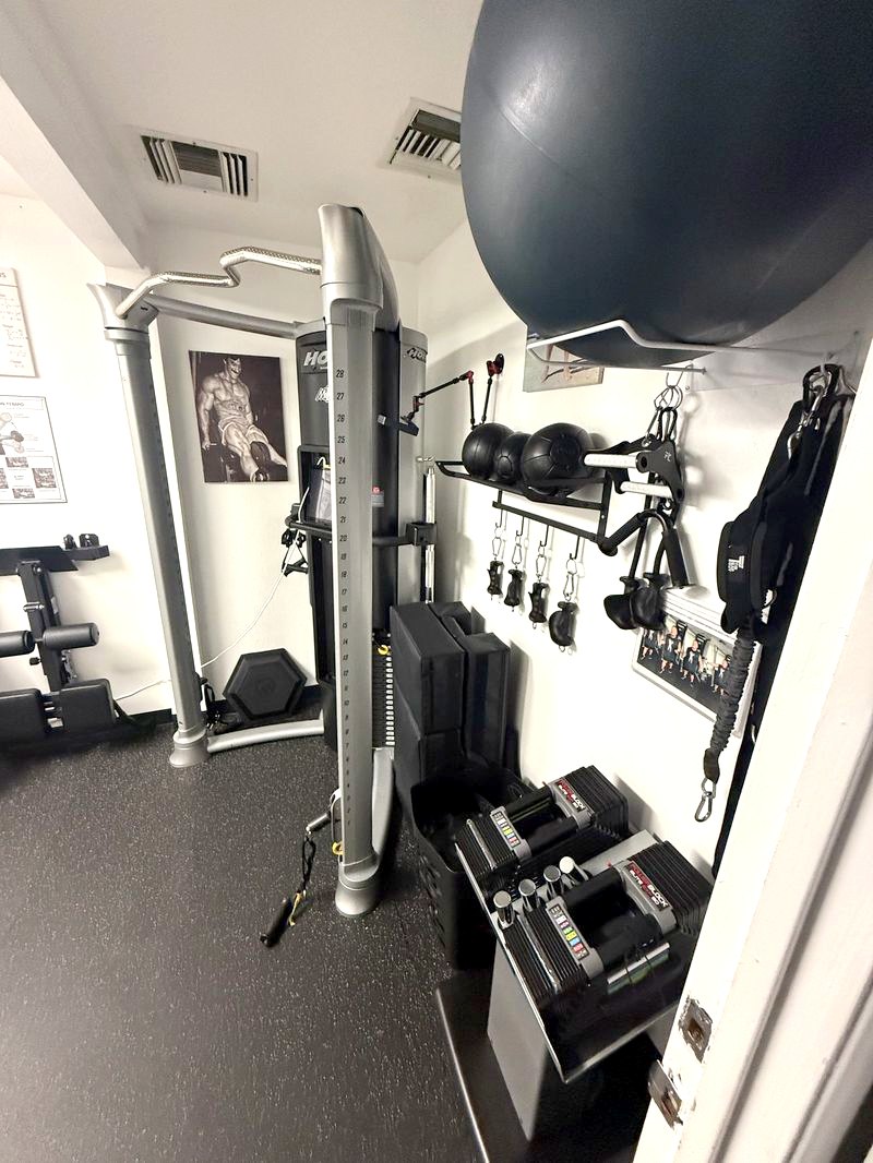 Dumbbells and suspension equipment