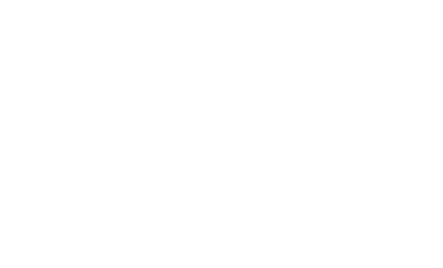 The Strength Laboratory